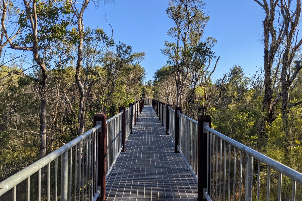 Metal boardwalk at Lake Muir Observatory A metal boardwalk
