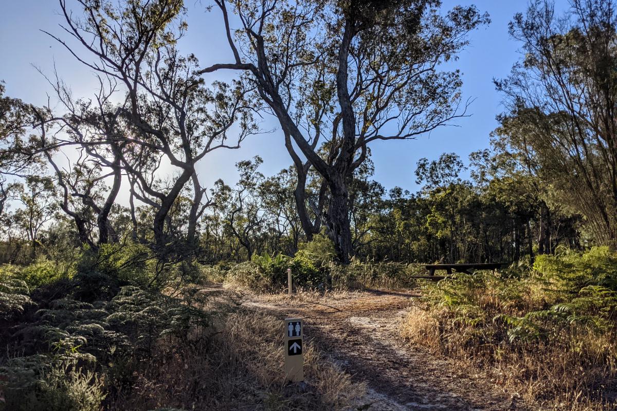 Sandy tracks from gravel carpark to facilities at Lake Muir Observatory