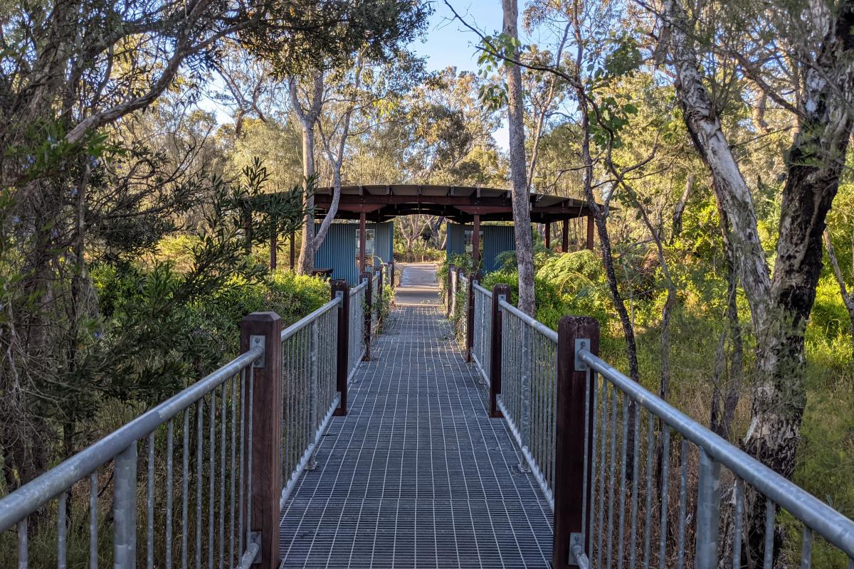 On the metal boardwalk at Lake Muir Observatory looking back towards the carpark On the metal boardwalk at Lake Muir Observatory looking back towards the carpark