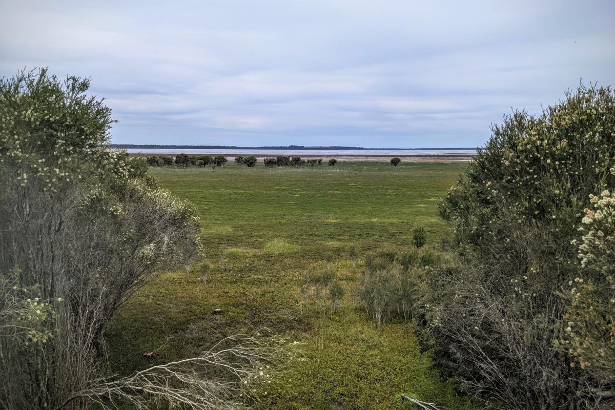 View of Lake Muir from the Lake Muir Observatory