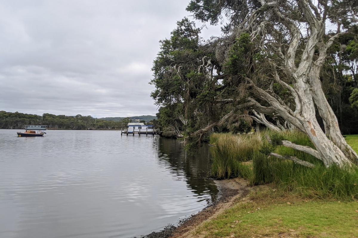 Shoreline next to Walpole Town Jetty