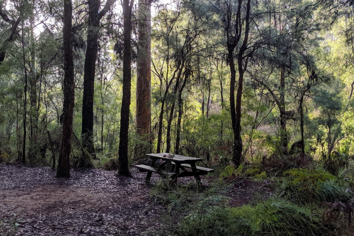 Picnic table by the river at Warren Campground