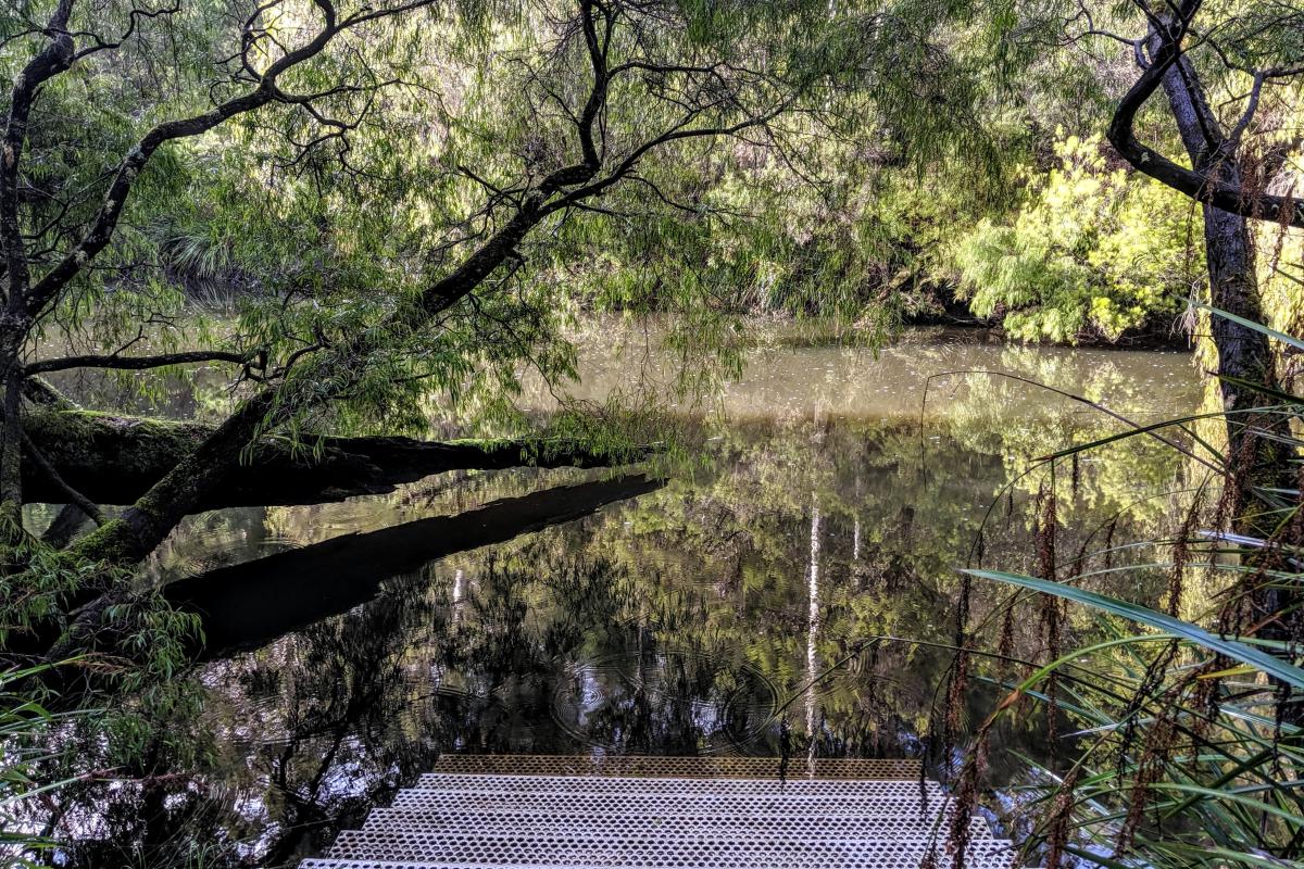 Metal steps into the water at Warren Campground