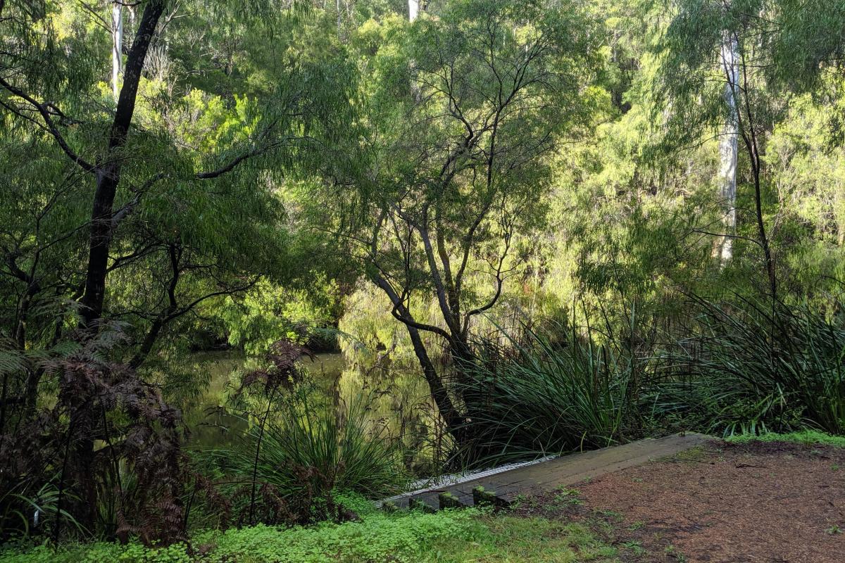 Warren Campground by the river