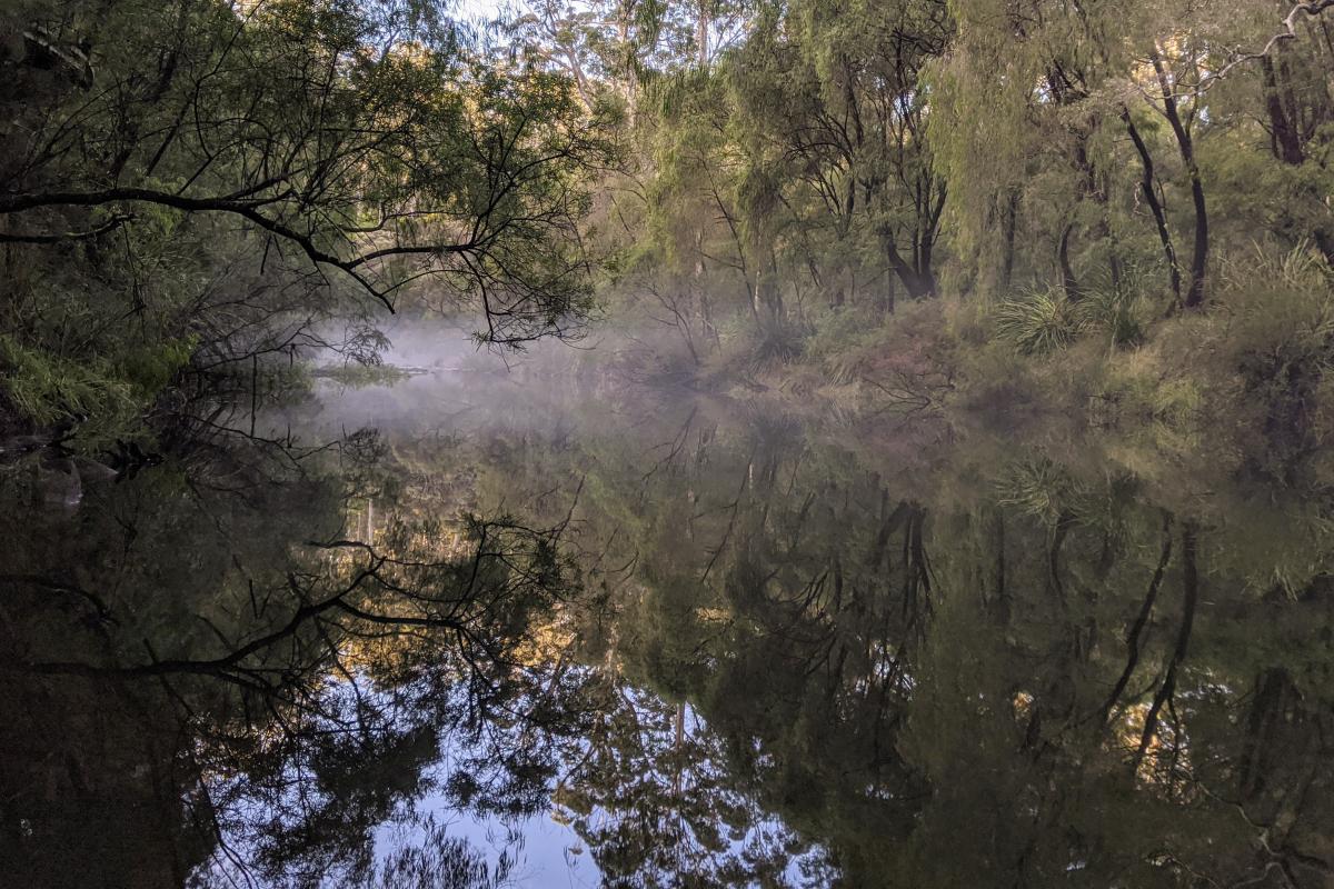 Mist on the Warren River at Warren Campground Mist on the Warren River at Warren Campground