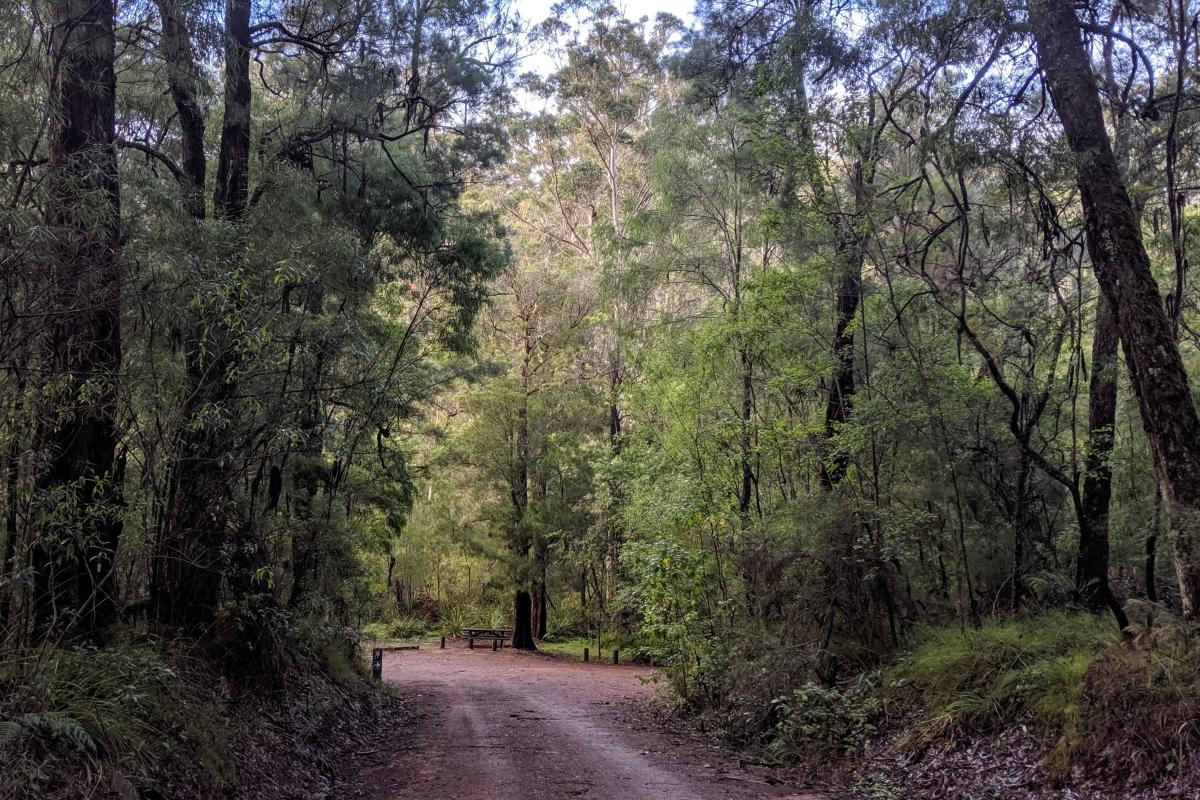 Entrance to Warren Campground