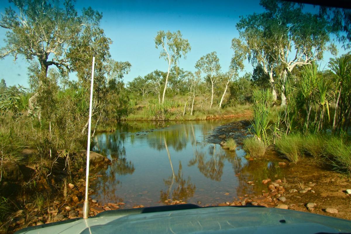 rocky waterhole and outback vegetation with pandanus at Mitchell River National Park