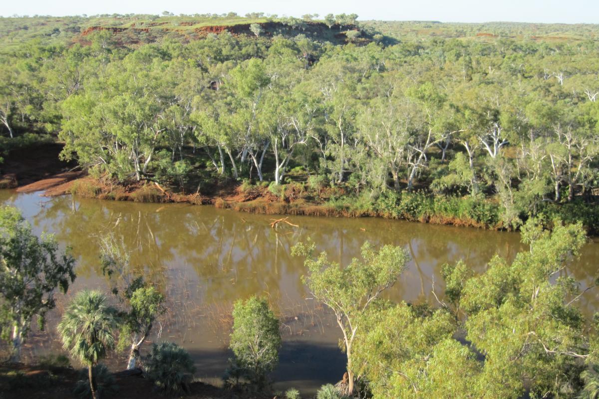 Cliff Lookout Millstream Chichester National Park View from Cliff Lookout down to the river below