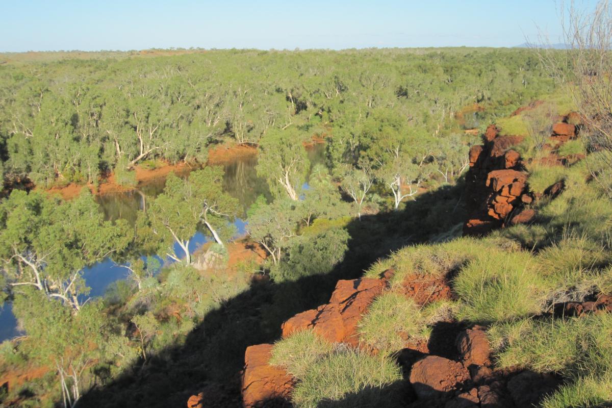 Cliff Lookout Millstream Chichester National Park View from Cliff Lookout down to the river below
