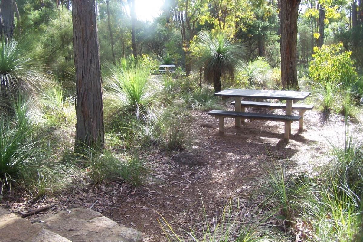 Picnic table at South Ledge picnic table in the forest