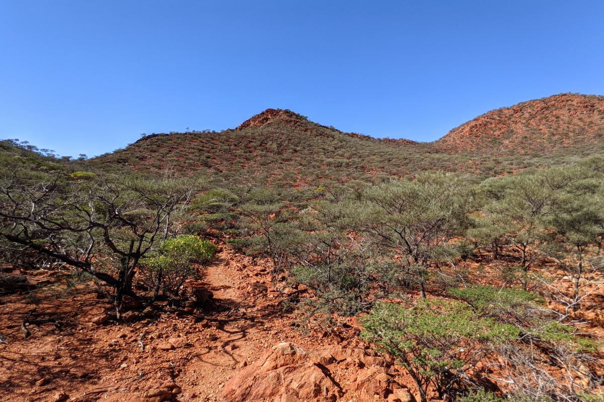 The Pound walk trail, Mount Augustus