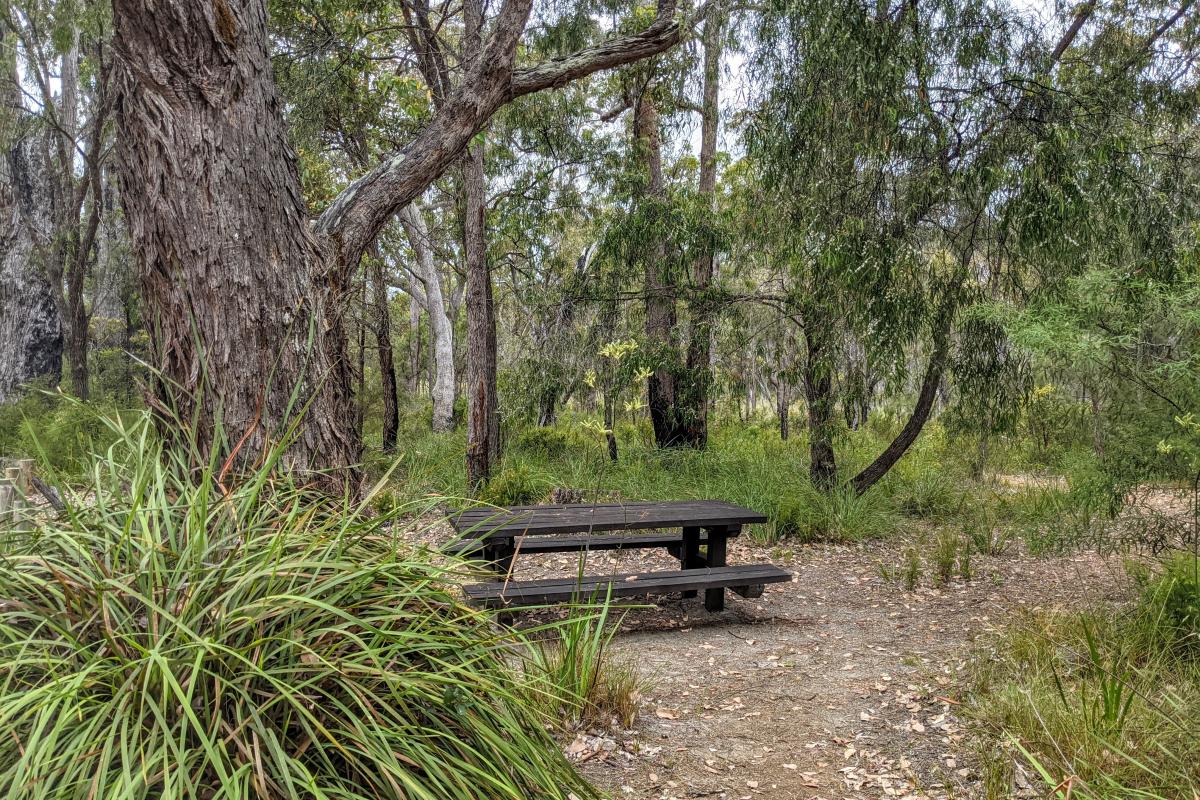 Mount Burnett picnic area