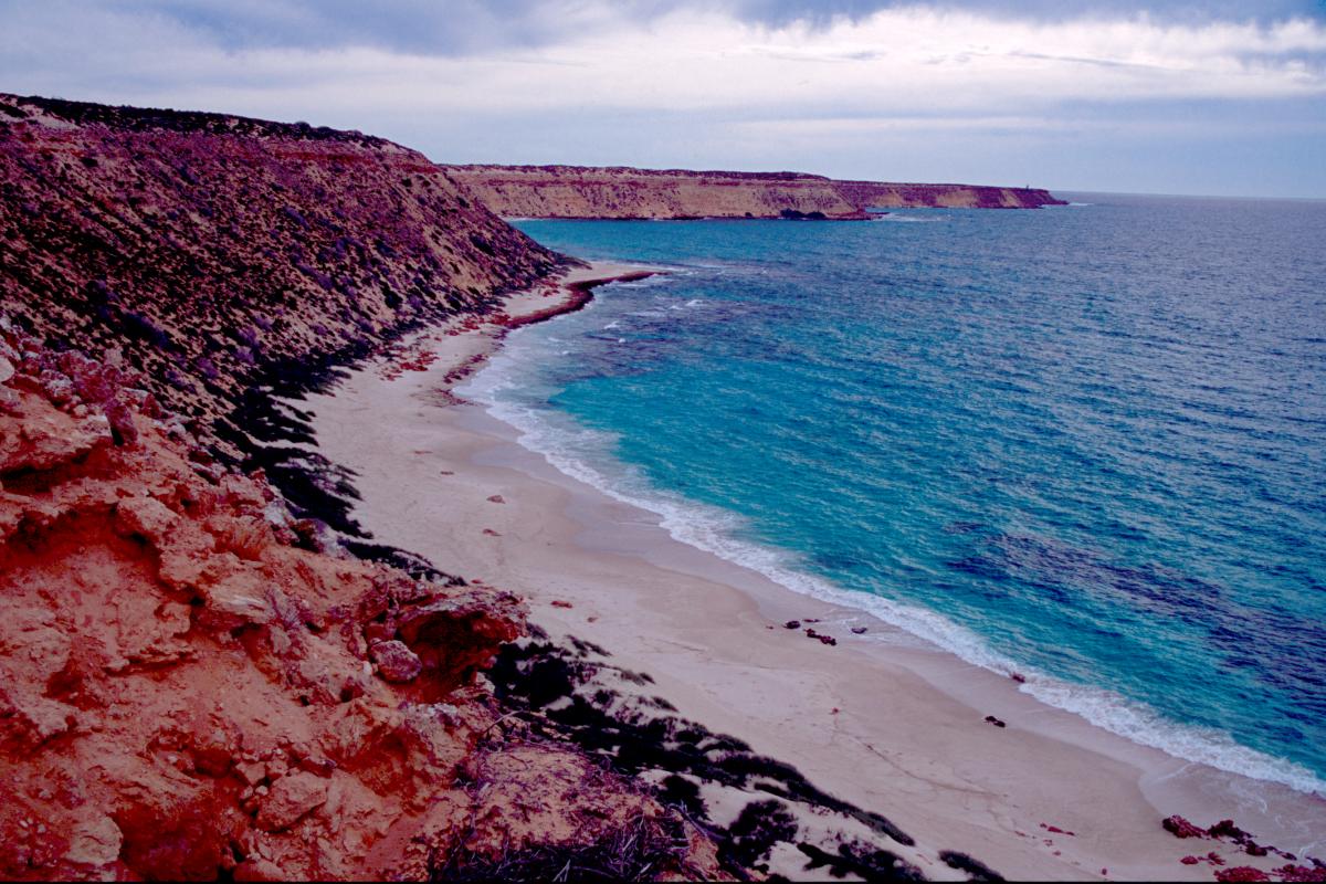 rugged coastline of dirk hartog island with a beach and blue clear waters of the ocean