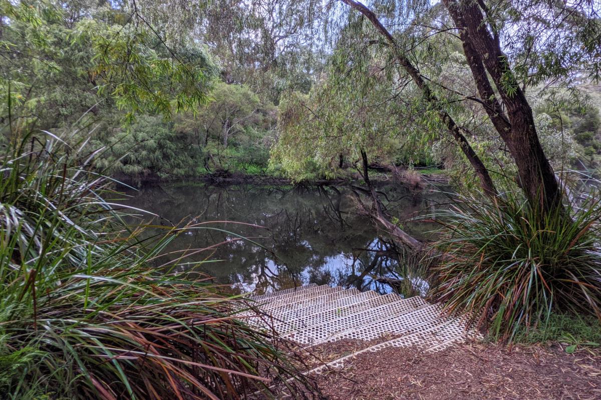 Steps into the Warren River at Blackbutt steps into the Warren River at Blackbutt