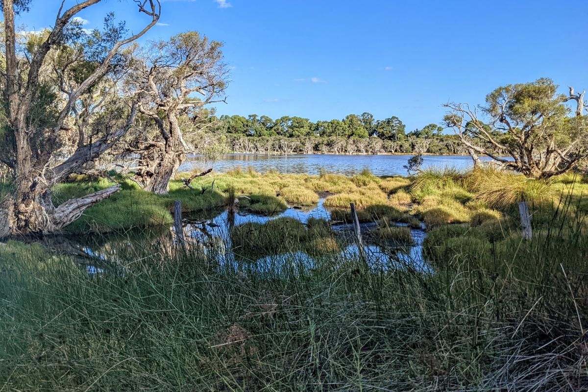 Manning Reserve Manning Reserve