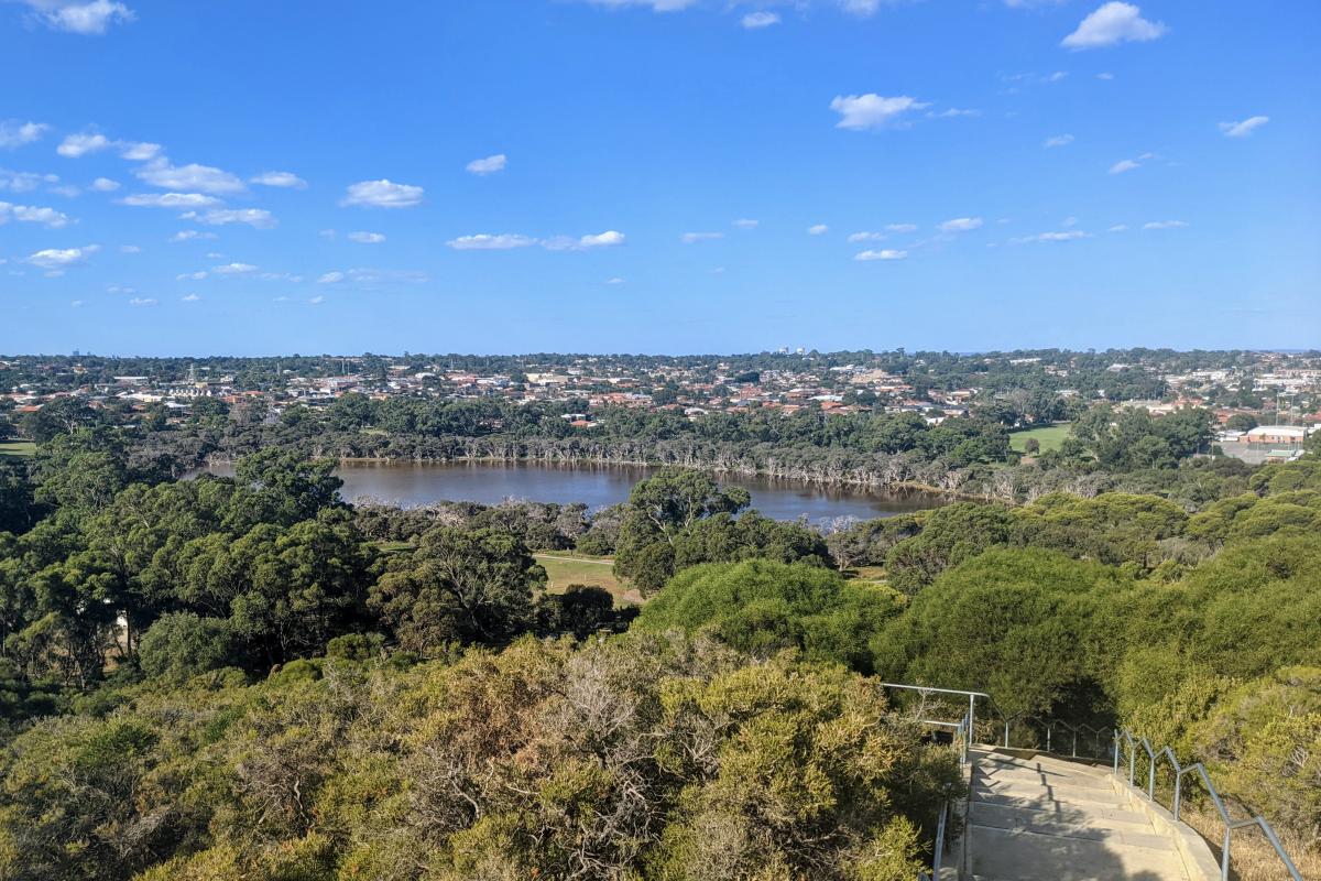 Manning Reserve viewed looking eastwards from the top of Manning Stairs