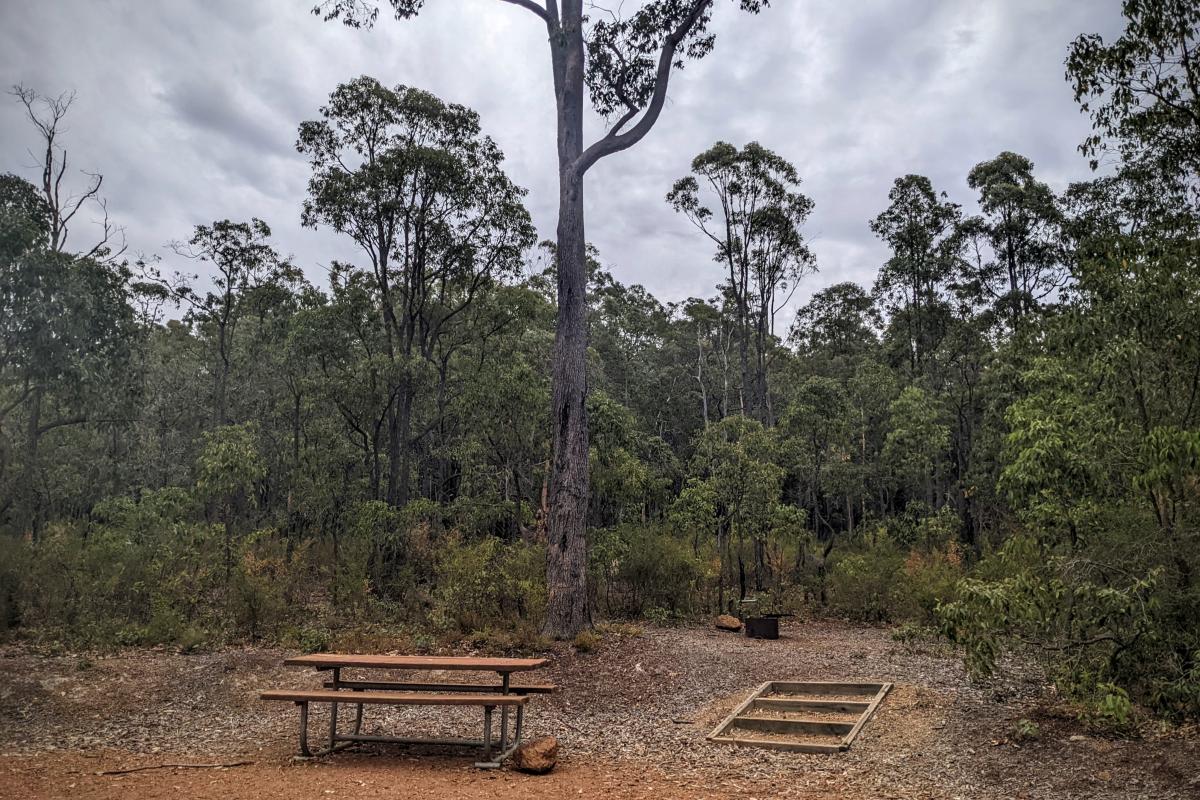 One of the spacious campsites at Logue Brook Campground