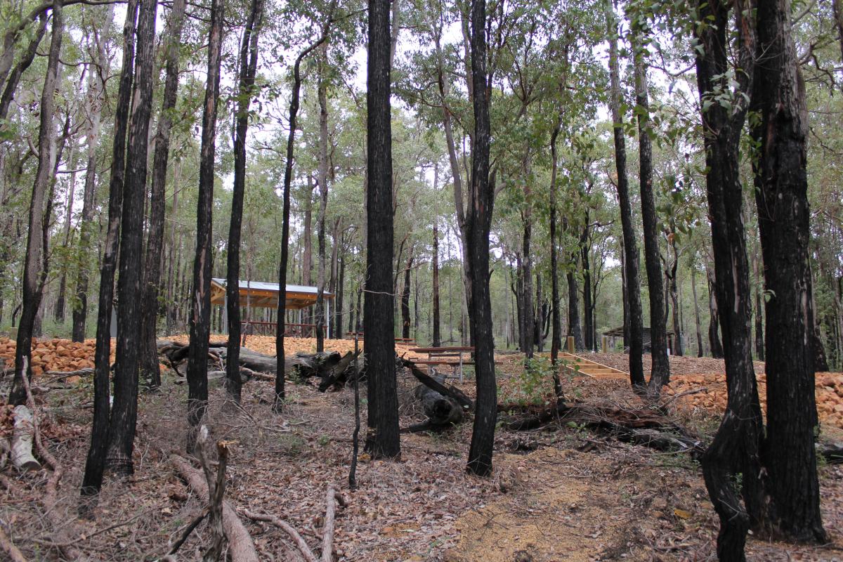 Sheltered picnic and bbq facility view through the trees of the sheltered picnic and barbecue facility