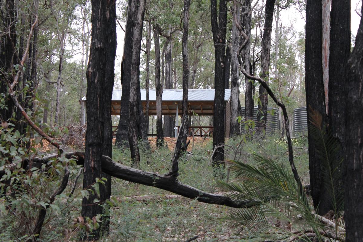 Sheltered picnic and cooking facilities at Logue Brook campground sheltered picnic area and cooking facilities surrounded by forest