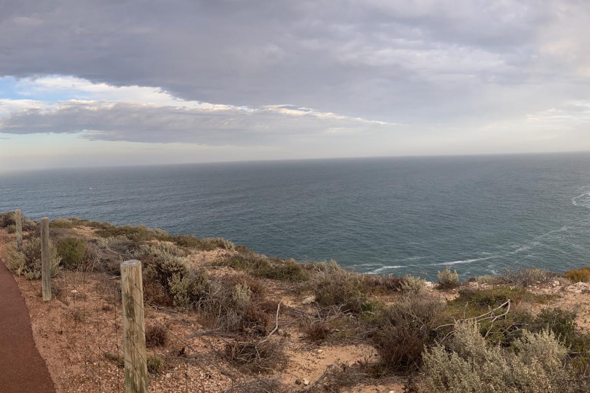 Shell House And Grandstand Rock Gorge