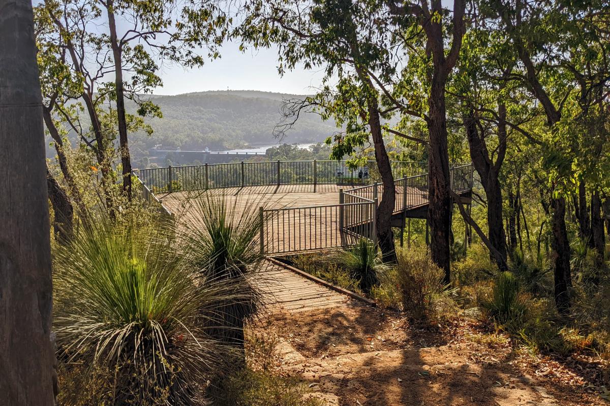 Golden View Lookout