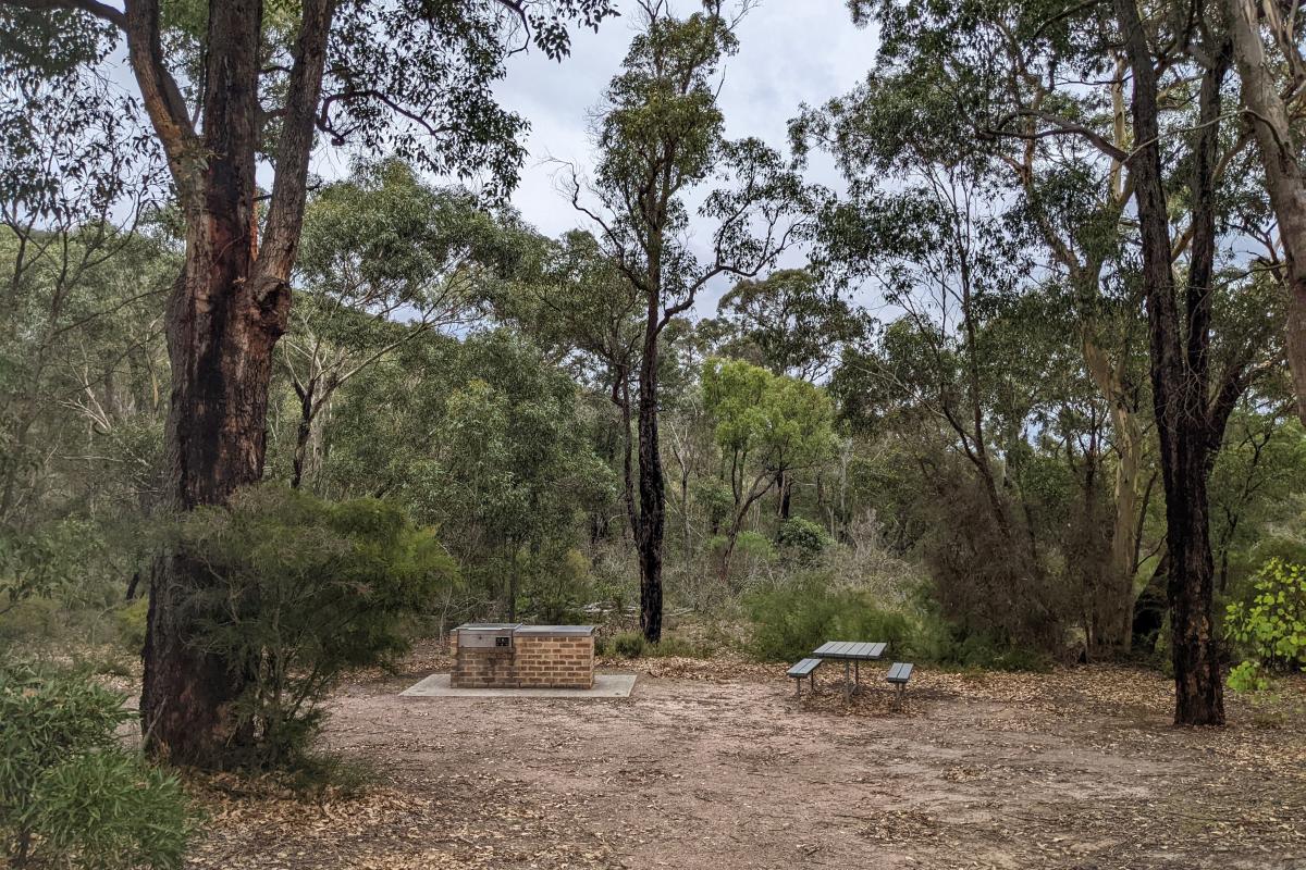 Red Gum Spring bbq and picnic bench