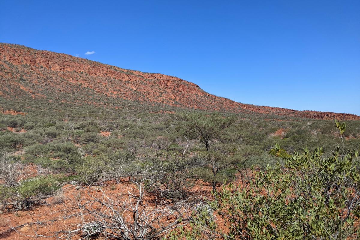 The Pound, Mount Augustus National Park The Pound, Mount Augustus National Park