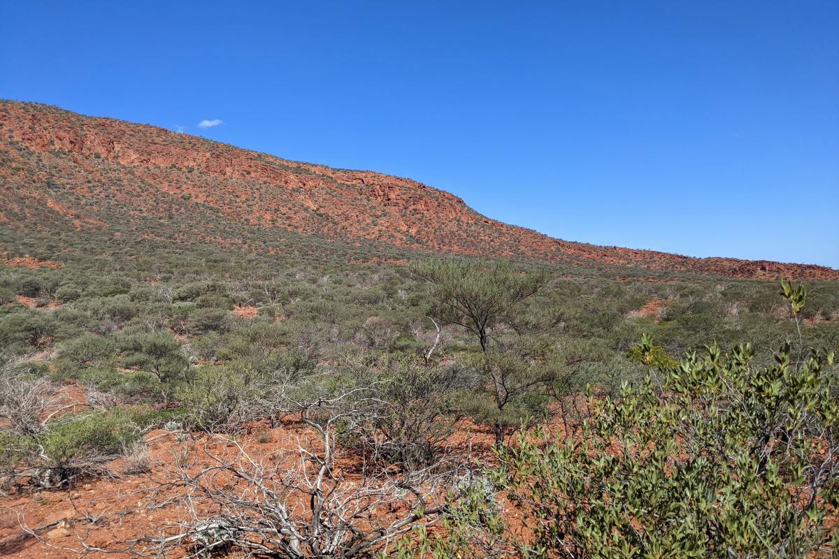 The Pound, Mount Augustus National Park