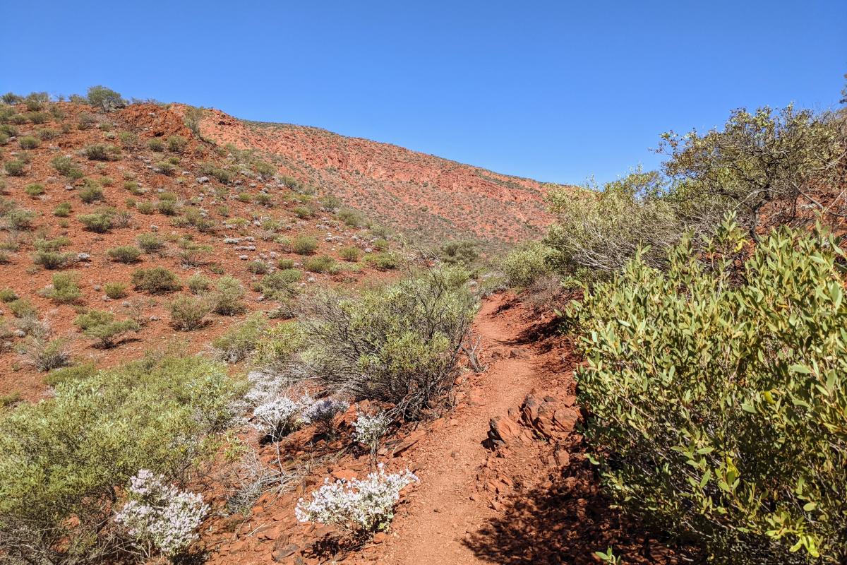 The Pound walk trail