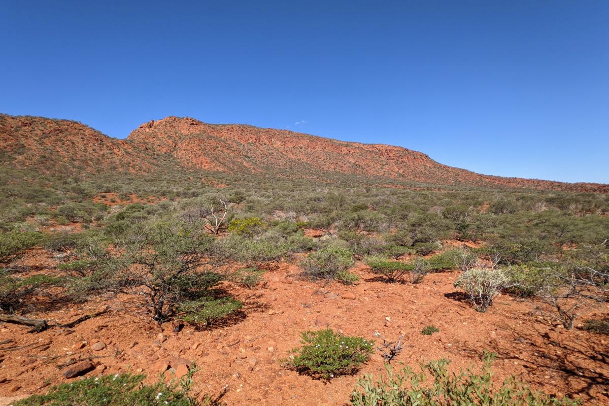 The Pound, Mount Augustus National Park The Pound, Mount Augustus National Park