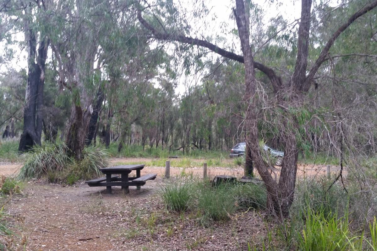 Picnic benches adjacent to the parking area at Mount Burnett