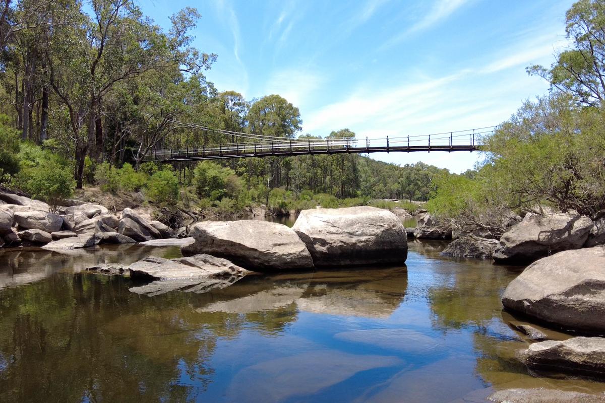 Dwaarlindjirraap suspension bridge Suspension bridge over Murray River