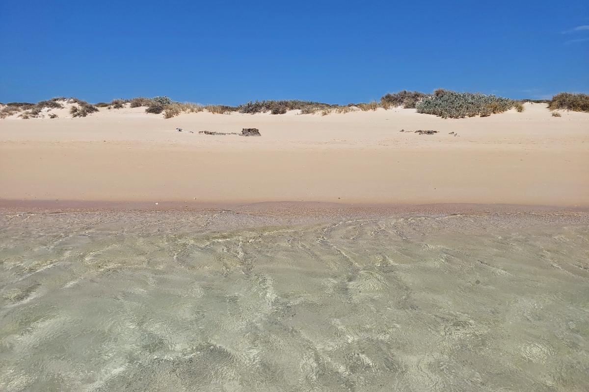 Tulki Beach Tulki Beach