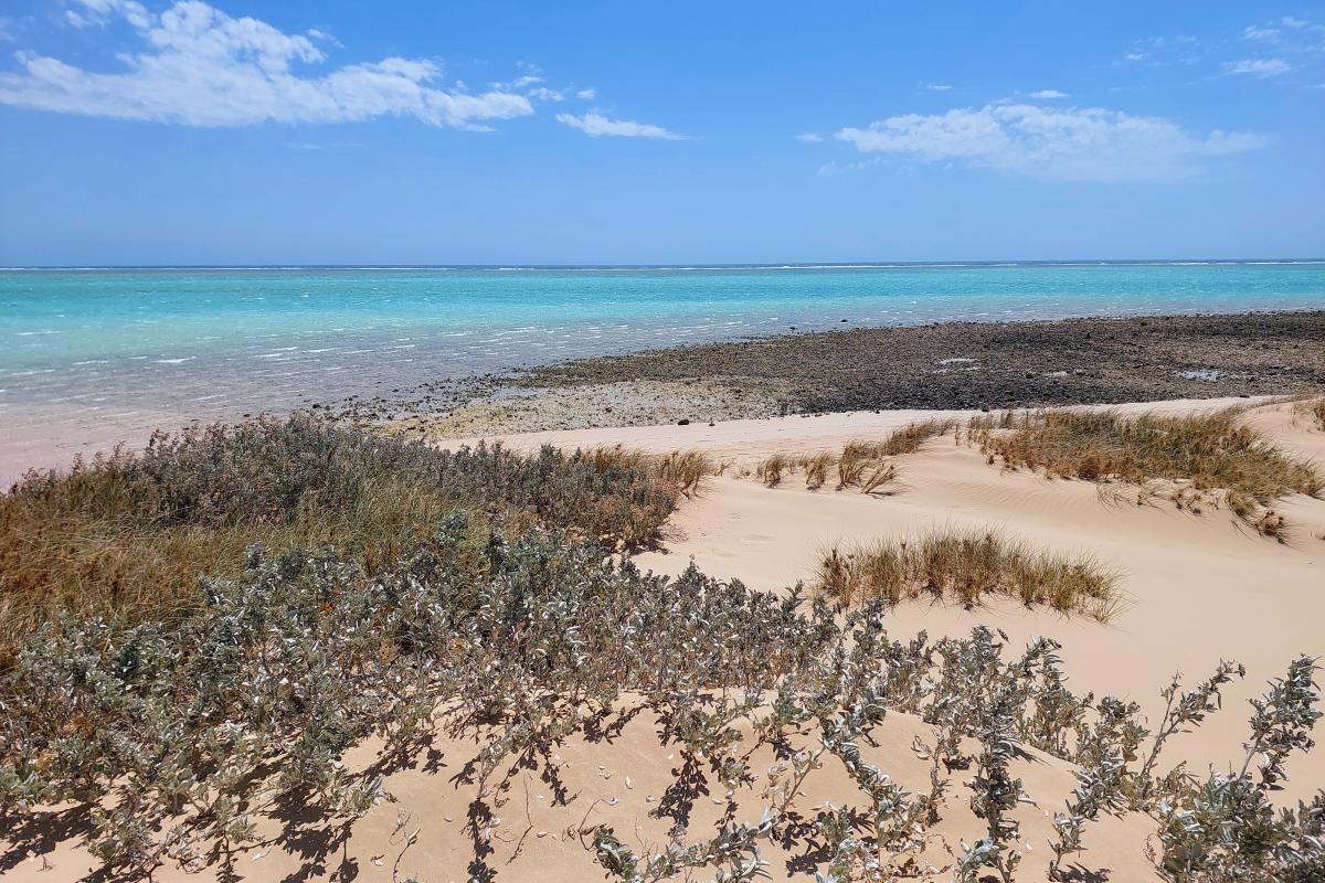 Tulki Beach Tulki Beach