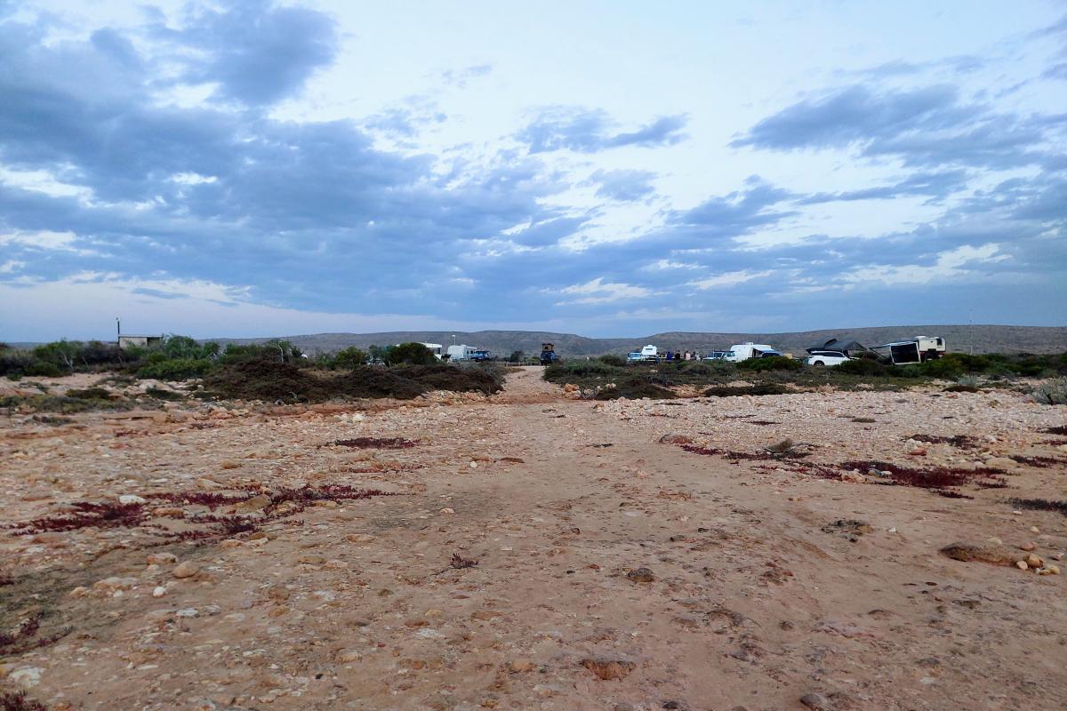 Tulki Beach Campground Tulki Beach Campground