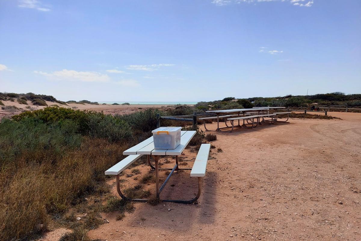 Picnic benches at Tulki Beach Campground Picnic benches at Tulki Beach Campground