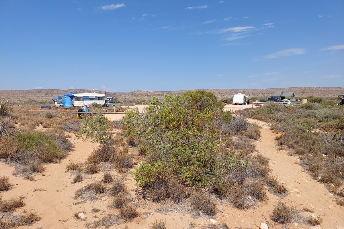 Tulki Beach Campground