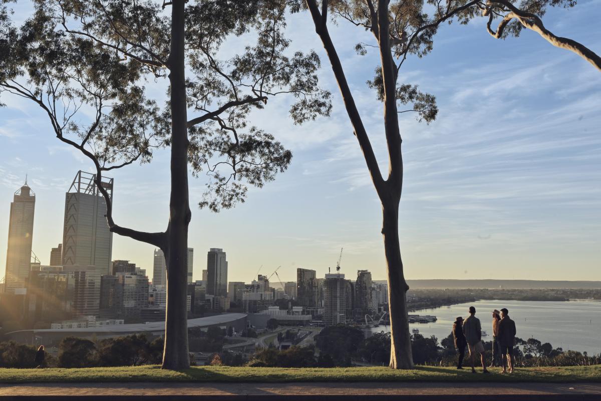 kings_park-_tourism-wa12.jpg