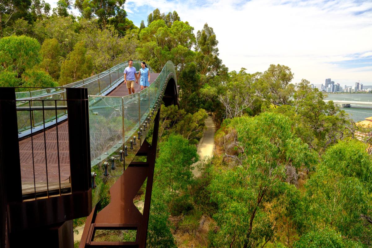 kings_park-_tourism-wa3.jpg