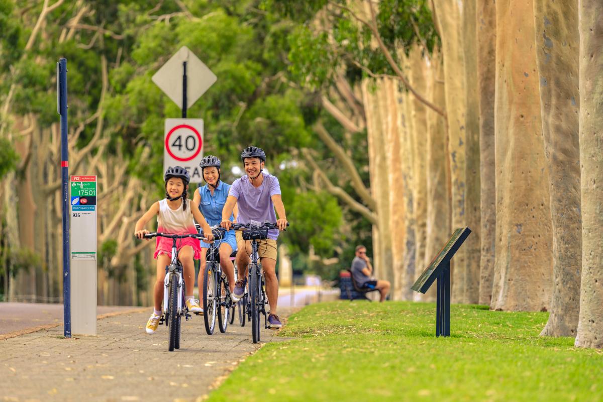 kings_park-_tourism-wa5.jpg