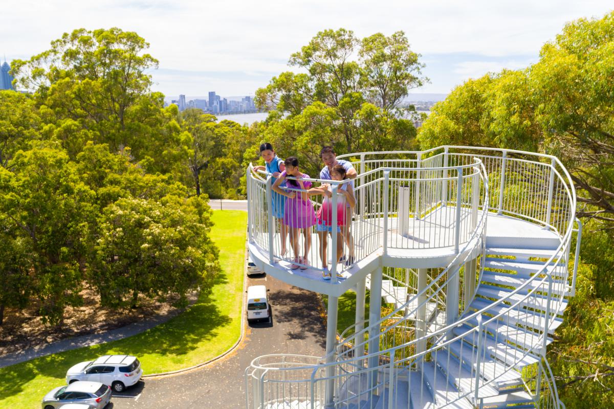 kings_park-_tourism-wa6.jpg