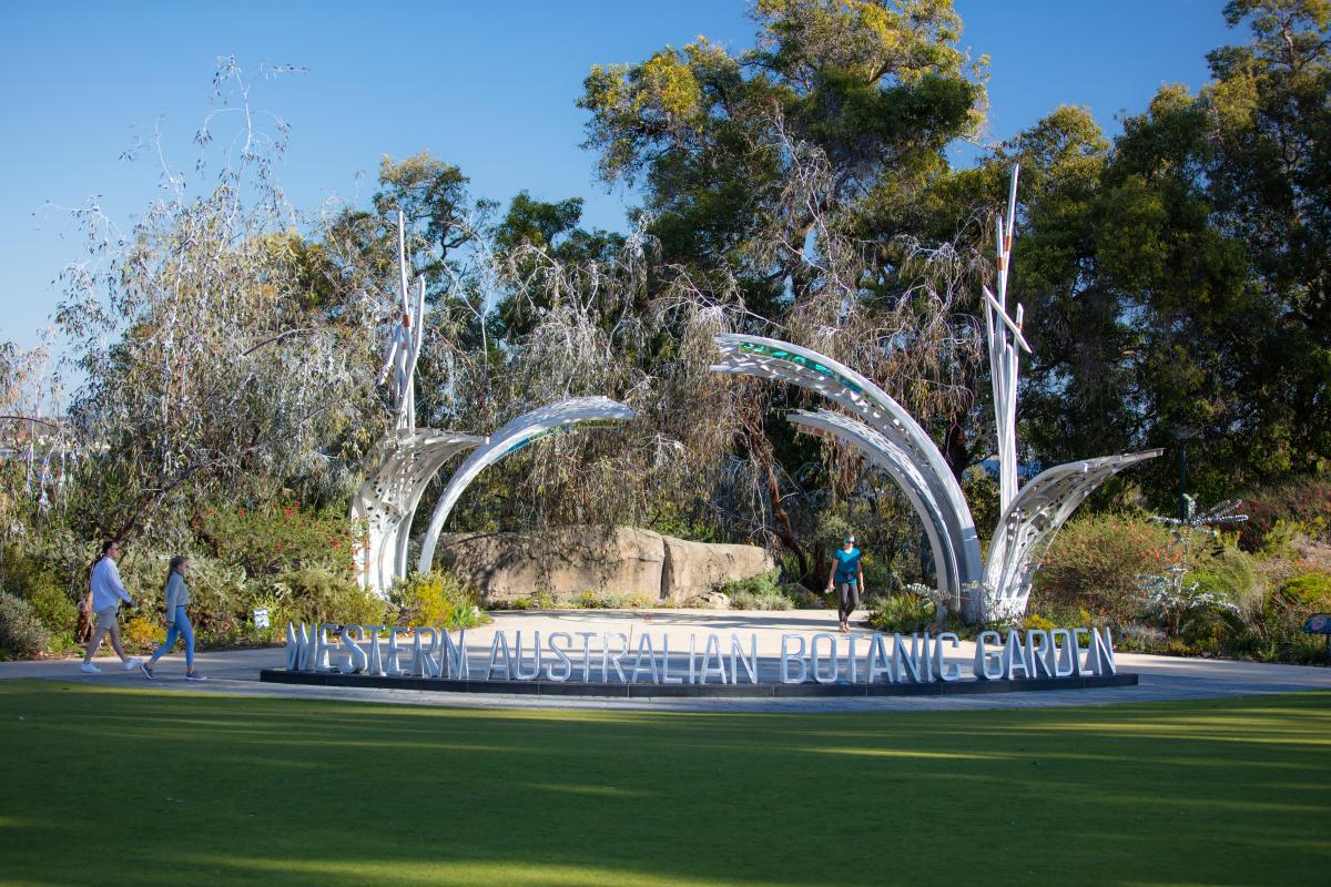 kings_park-_tourism-wa7.jpg