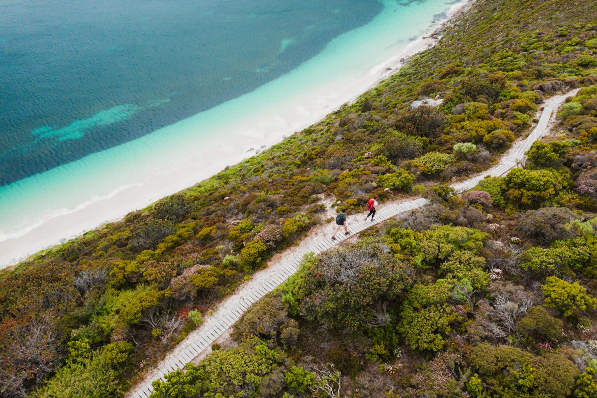 Walking the Bald Head Trail Aerial view of two people hiking on a trail through low bush with the ocean off to one side.