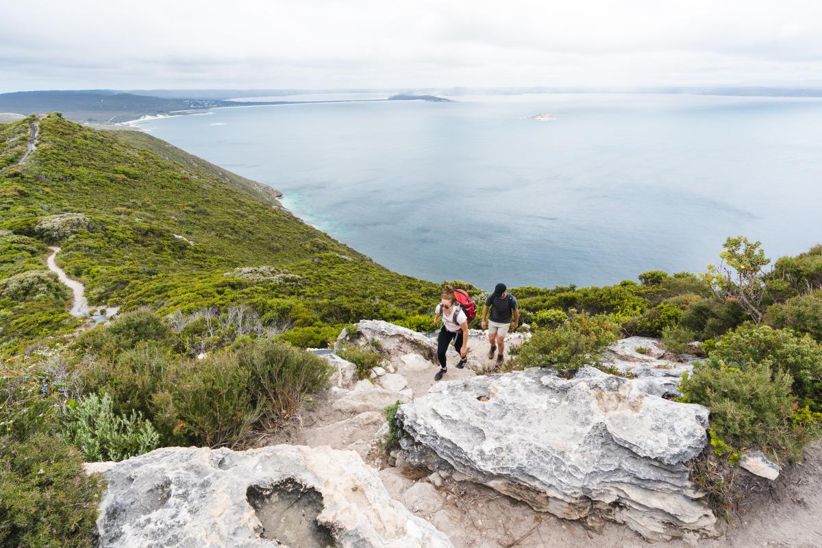 Bald Head Walk Trail Two people hiking on a trail with views of the ocean and peninsula.