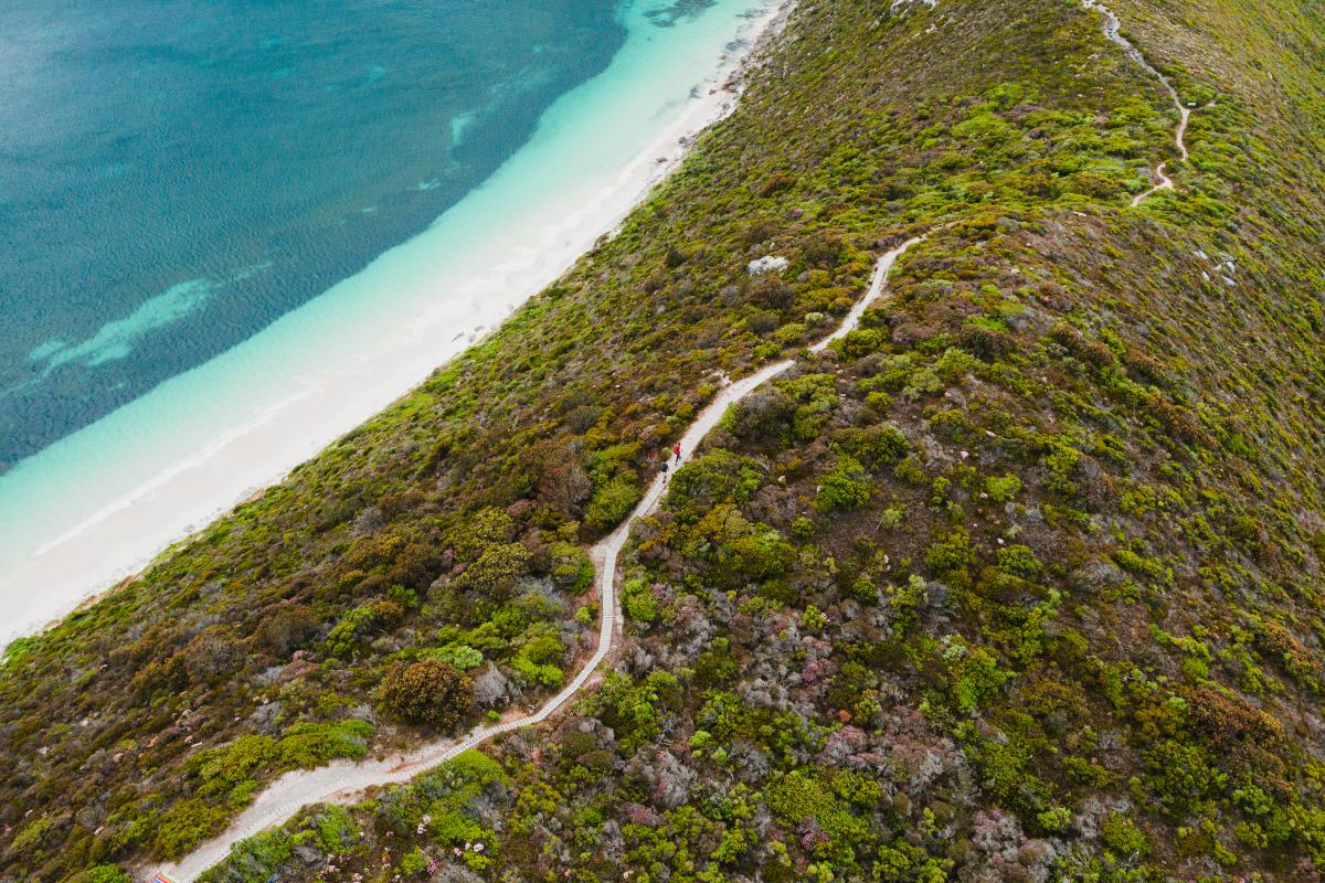 Bald Head Walk Trail Aerial view of two people hiking on a trail through low bush with the ocean off to one side.