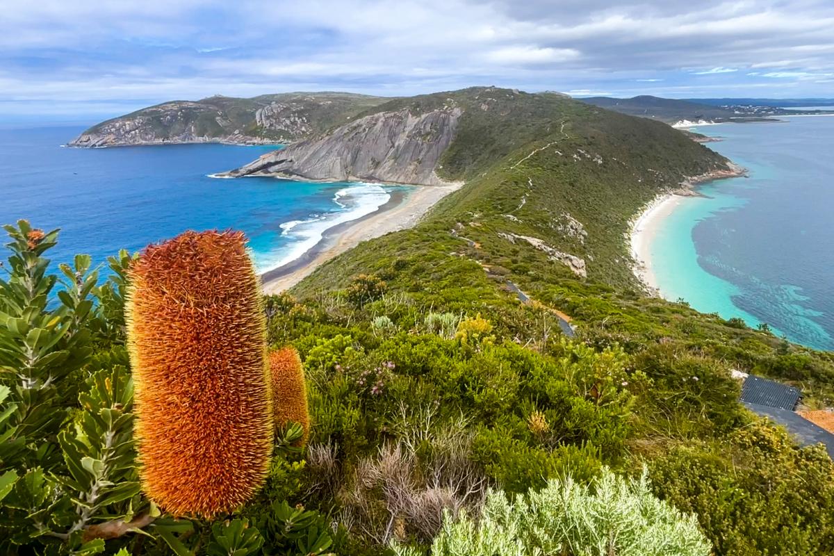 bald-head-trail-torndirrup-national-park-dbca9.jpg