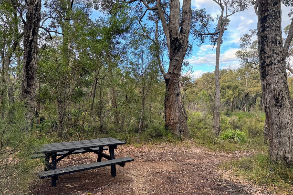 Picnic bench at Canebrake Pool Picnic bench at Canebrake Pool