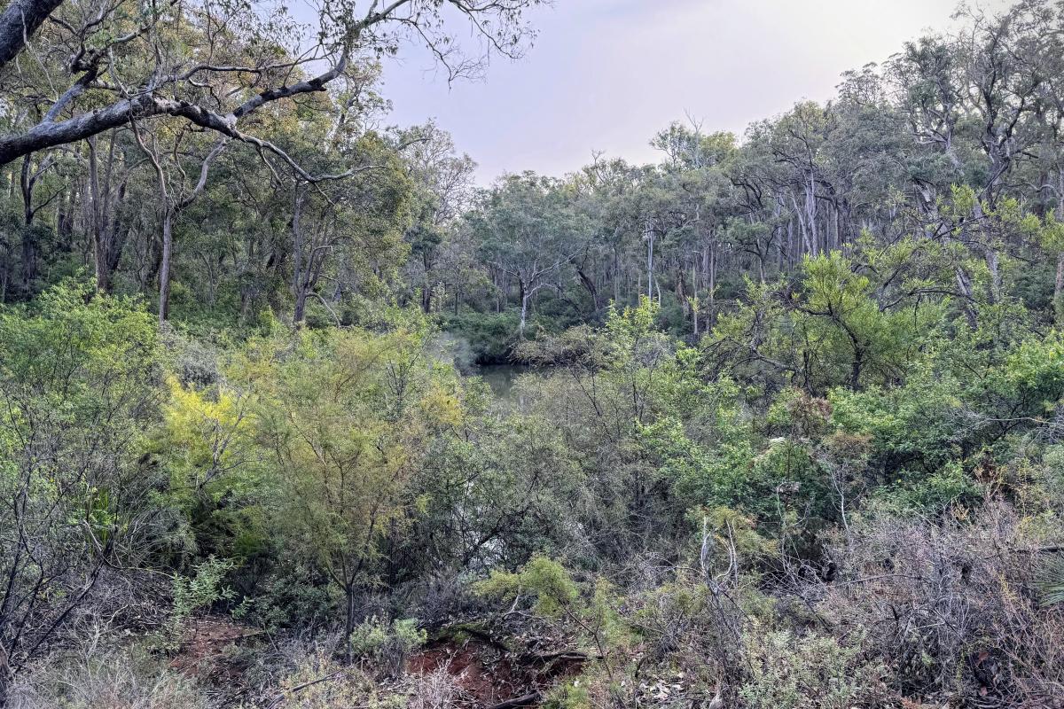 St John Brook Conservation Park St John Brook Conservation Park
