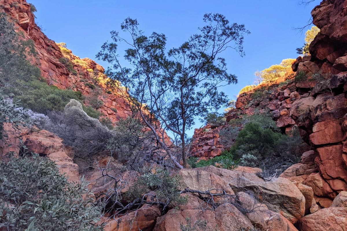 Kotka Gorge Trail, Warrarla Kotka Gorge Trail, Warrarla