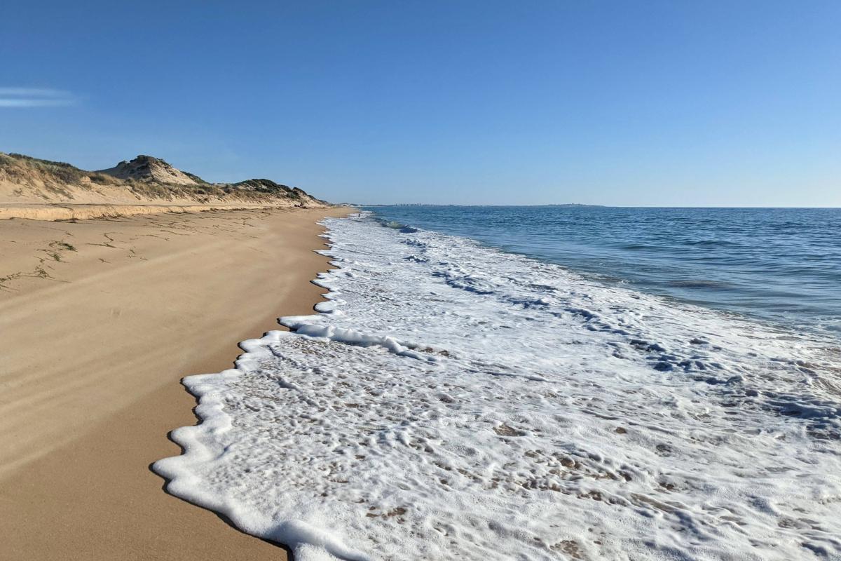 Belvidere Beach looking south Belvidere Beach looking south